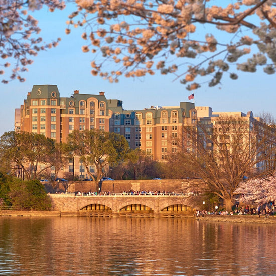 <p>Salamander DC, </p><p>Washington DC, USA</p>